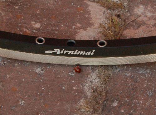 airnimal 520 velg