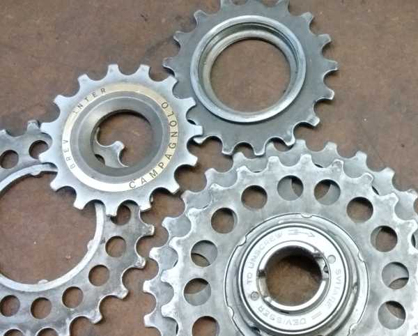 campagnolo freewheel