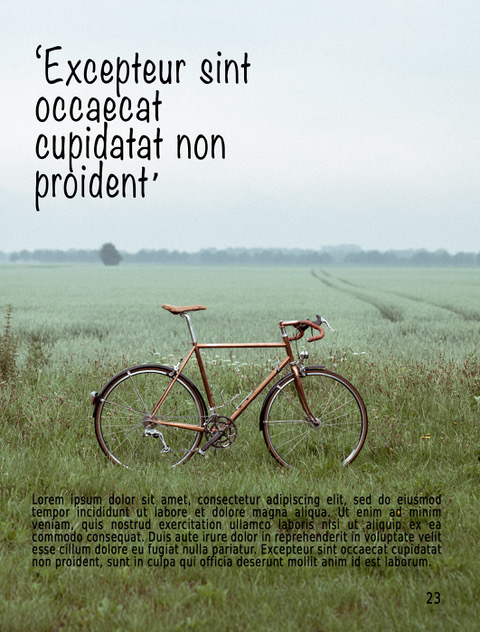 fotografeer een fiets