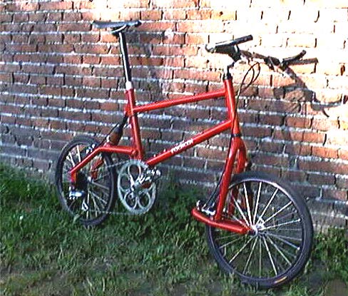 Radical
406