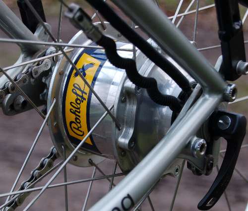 distillatie lever Allergie rohloff naven