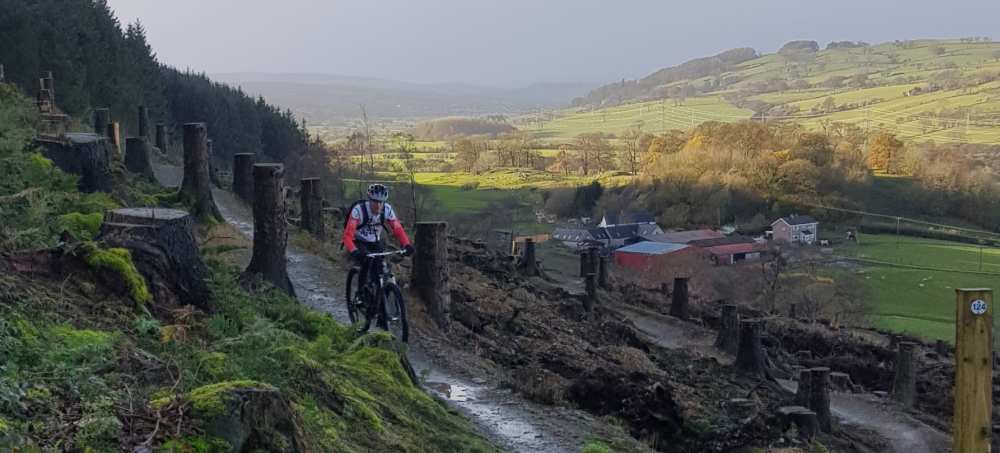 llandegla