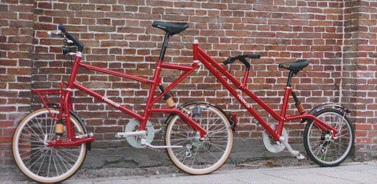trailerbike