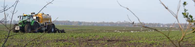 voorjaar
2021