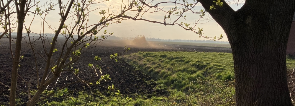 m-gineerings
                voorjaarscheck